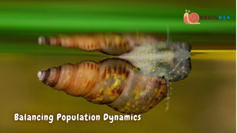 Balancing Population Dynamics