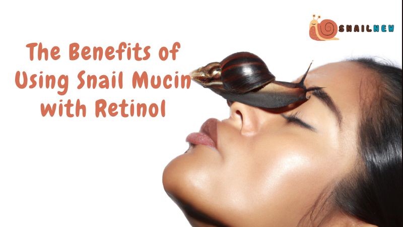 The Benefits of Using Snail Mucin with Retinol