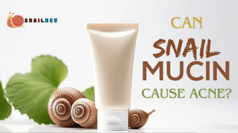 Can Snail Mucin Cause Acne?