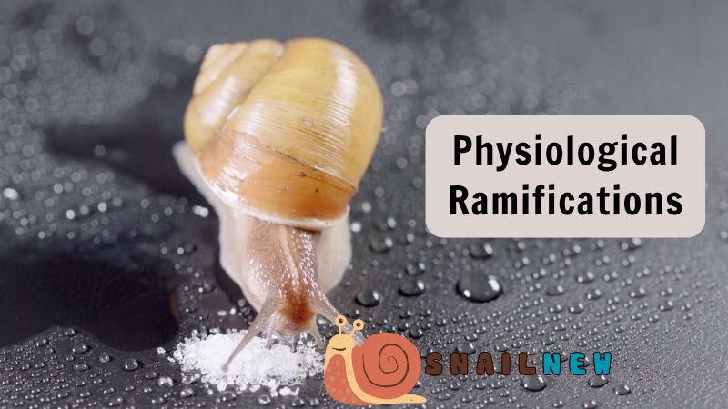 What Does Salt Do to Snails: Physiological Ramifications