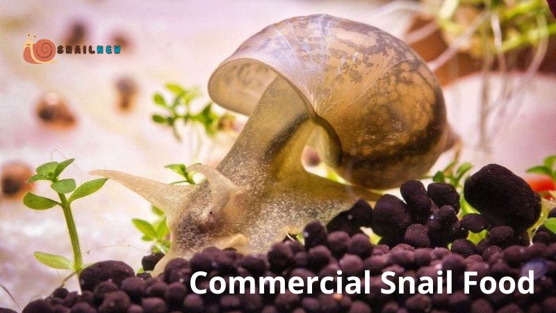 Commercial Snail Food