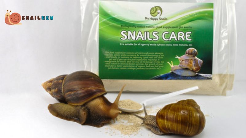 Selecting Calcium-Enriched Snail Food