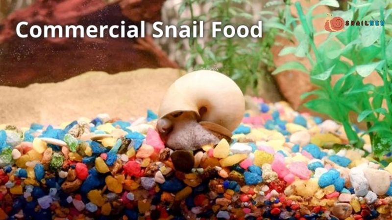 Commercial Snail Food