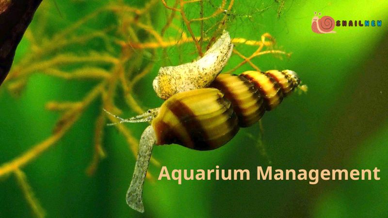 Aquarium Management