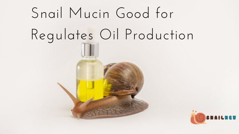 Snail Mucin Good for Regulates Oil Production