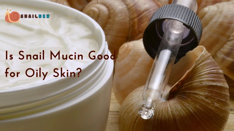 Is Snail Mucin Good for Oily Skin?