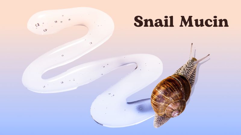 Snail Mucin